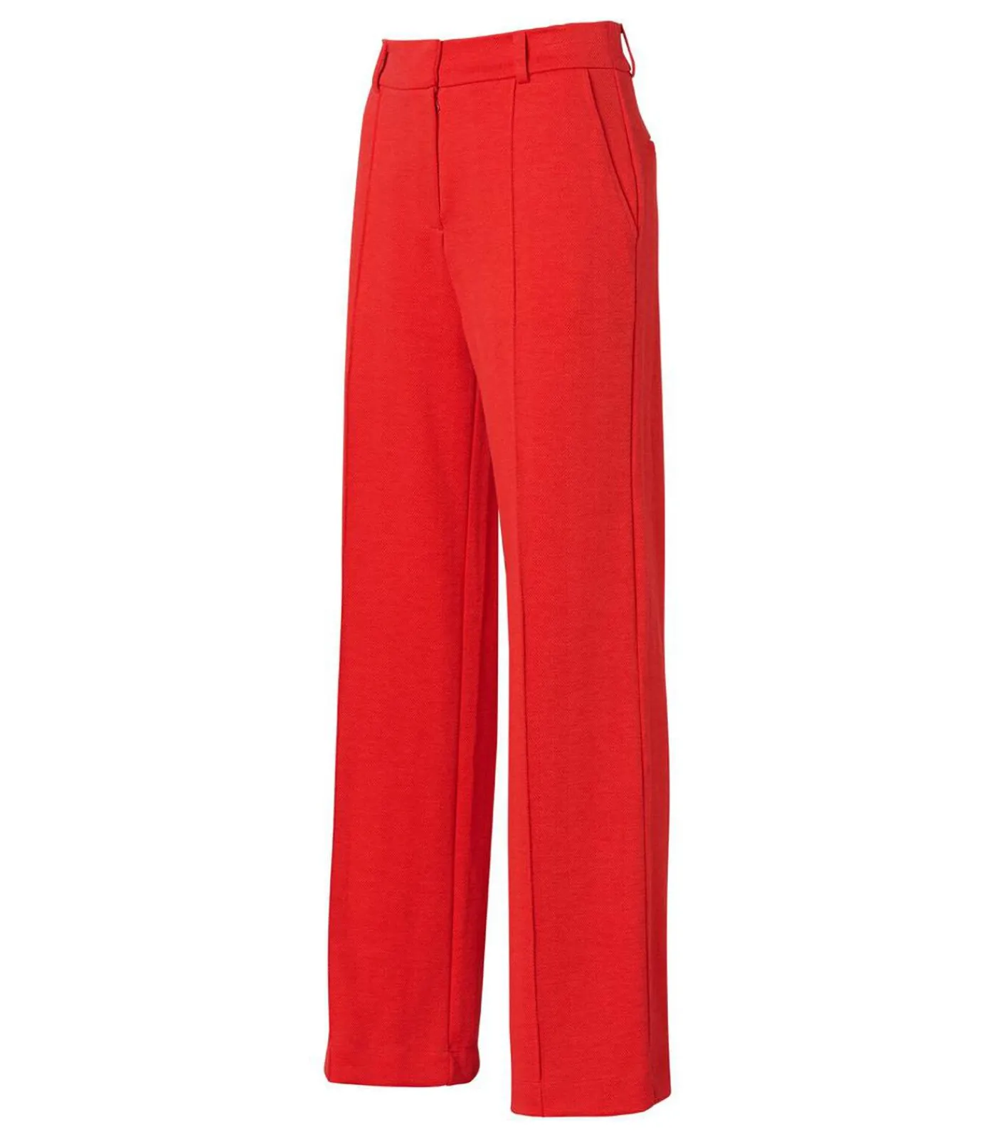 Mart Visser Celia Broek Koraal coral New