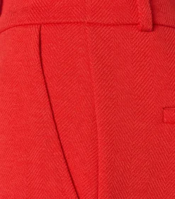 Mart Visser Celia Broek Koraal coral New