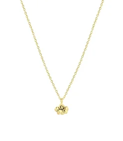 Lucardi Ketting Zilver 45 cm - Zilverkleurig gold Best