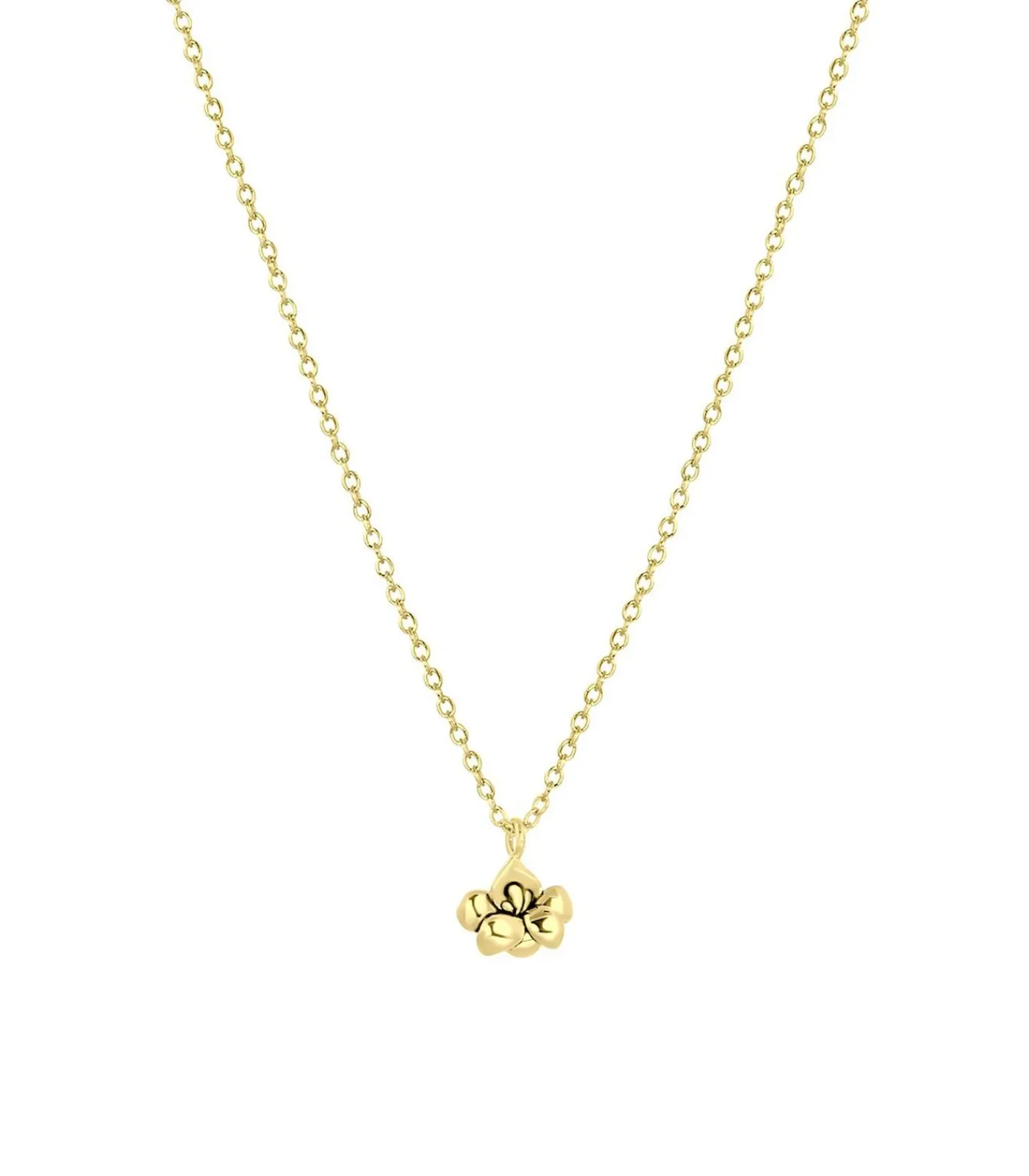 Lucardi Ketting Zilver 45 cm - Zilverkleurig gold Best