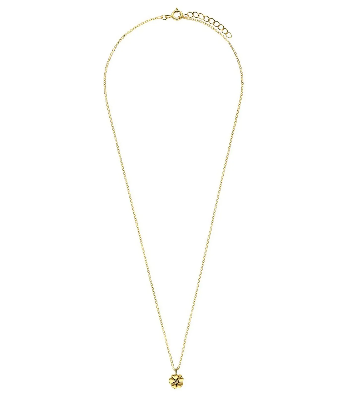 Lucardi Ketting Zilver 45 cm - Zilverkleurig gold