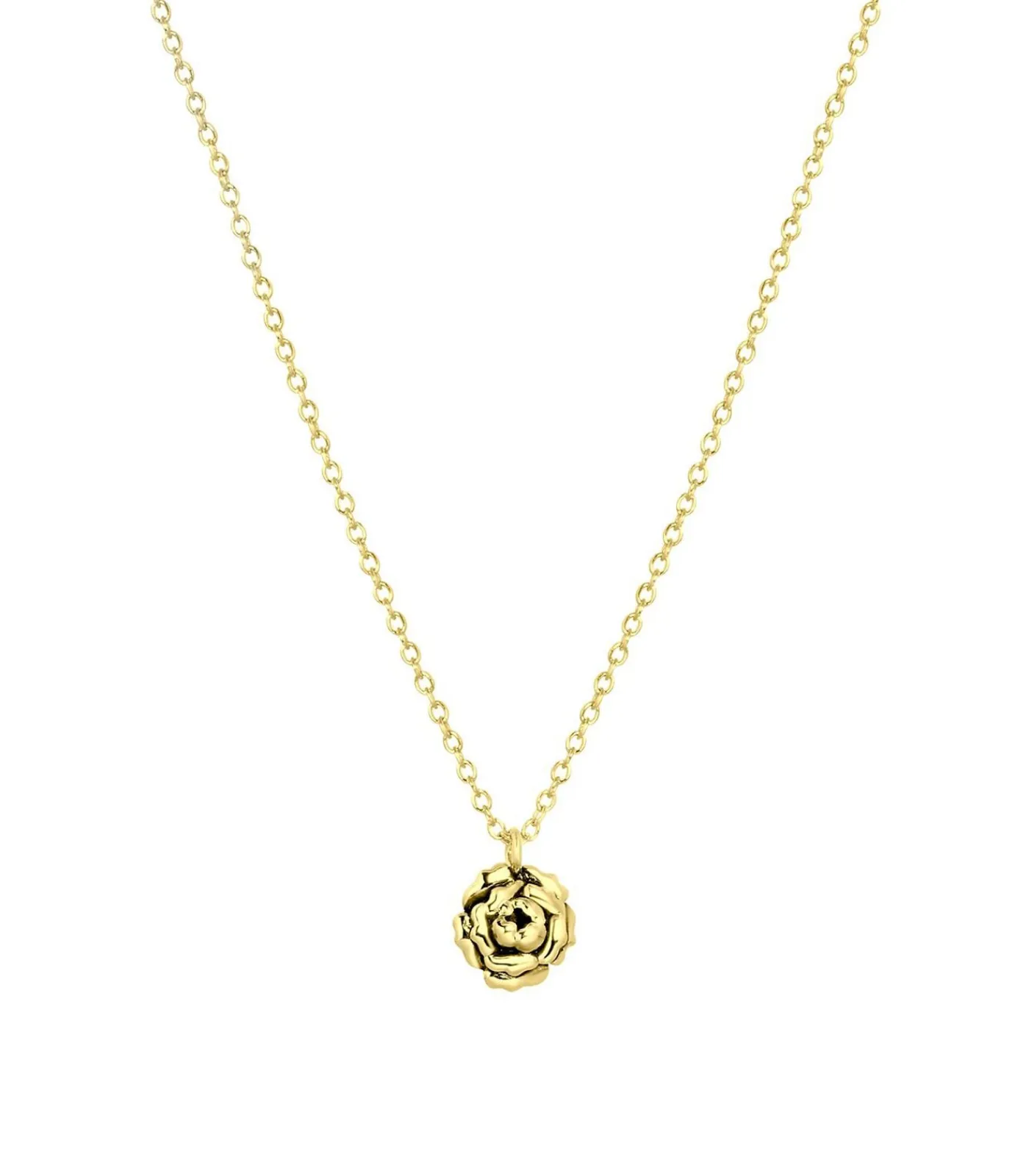 Lucardi Ketting Zilver 45 cm - Zilverkleurig gold Best