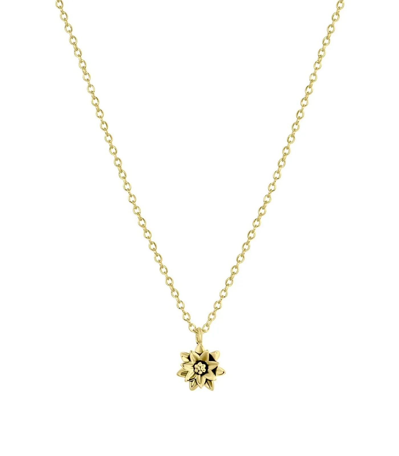 Lucardi Ketting Zilver 45 cm - Zilverkleurig gold Discount