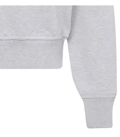 Calvin Klein Jeans Ls Archive Terry Po gray Online