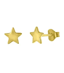 Lucardi Oorbellen Zilver gold New