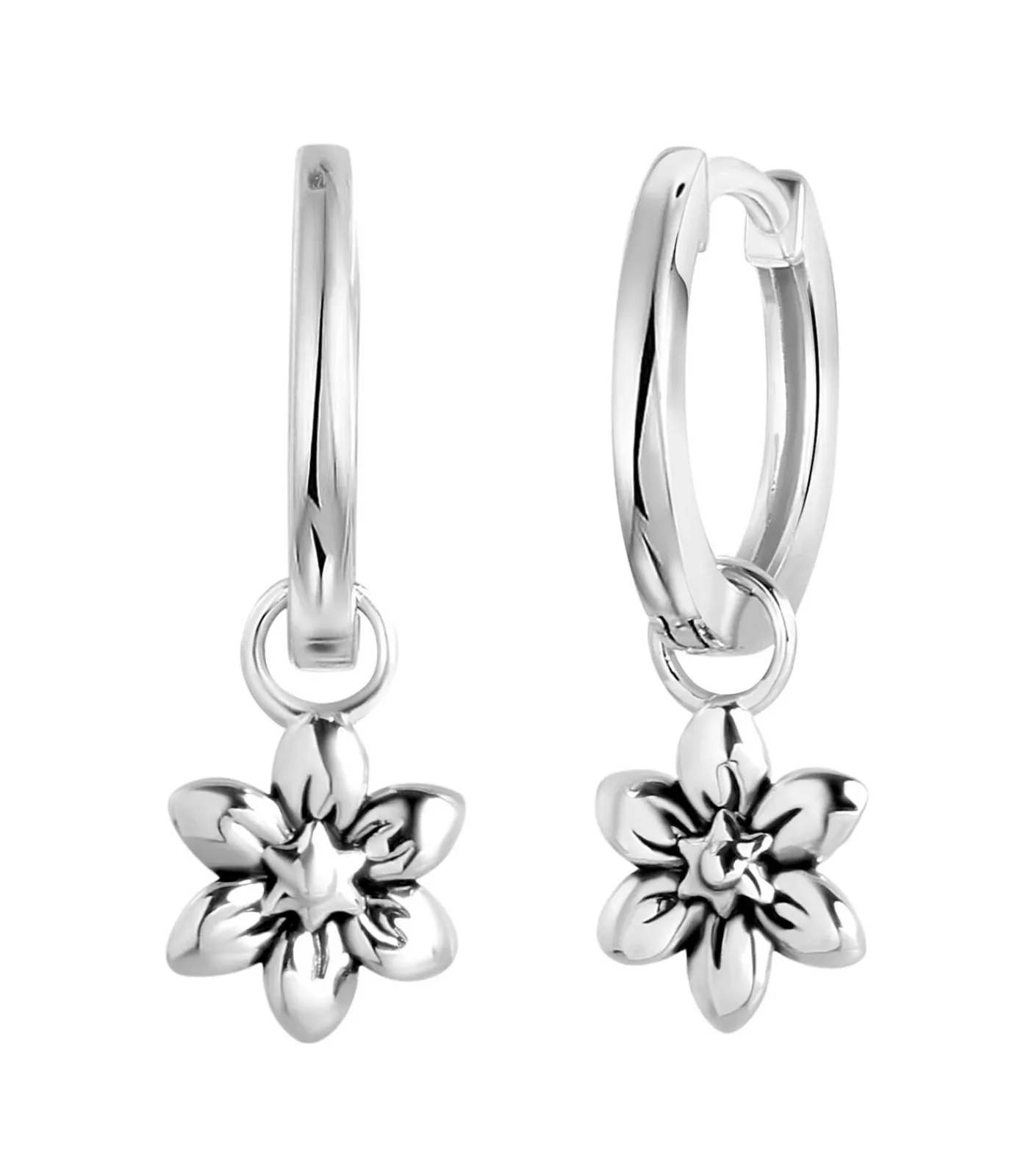 Lucardi Oorbellen Zilver - Zilverkleurig silver Outlet