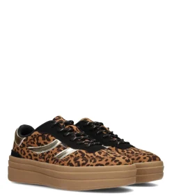 POSH by Poelman BODIE Dames Sneakers brown Clearance