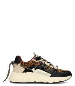 POSH by Poelman CARI Dames Sneakers bordeaux/multicolor Online