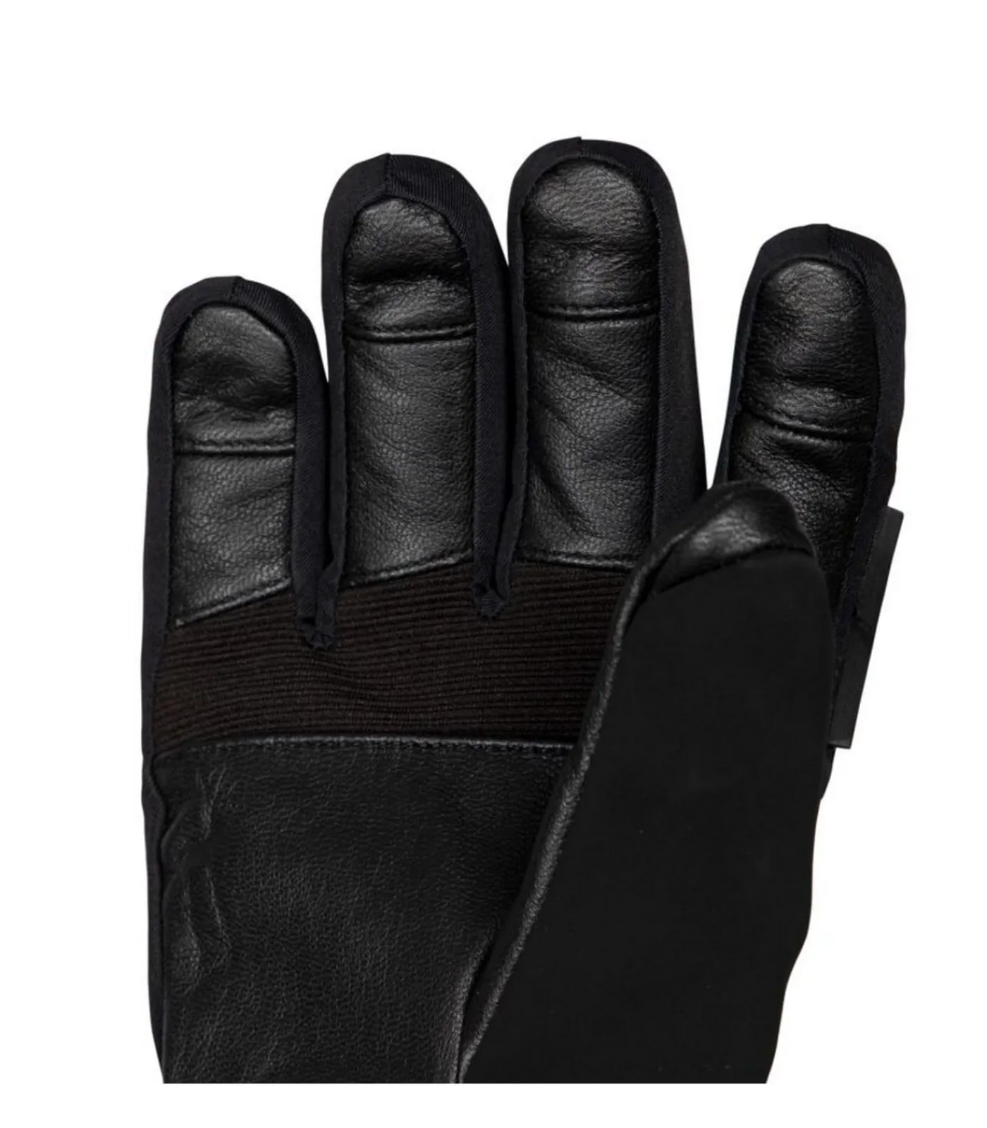 Trespass SENGLA - Ski-handschoenen - Zwart black Best