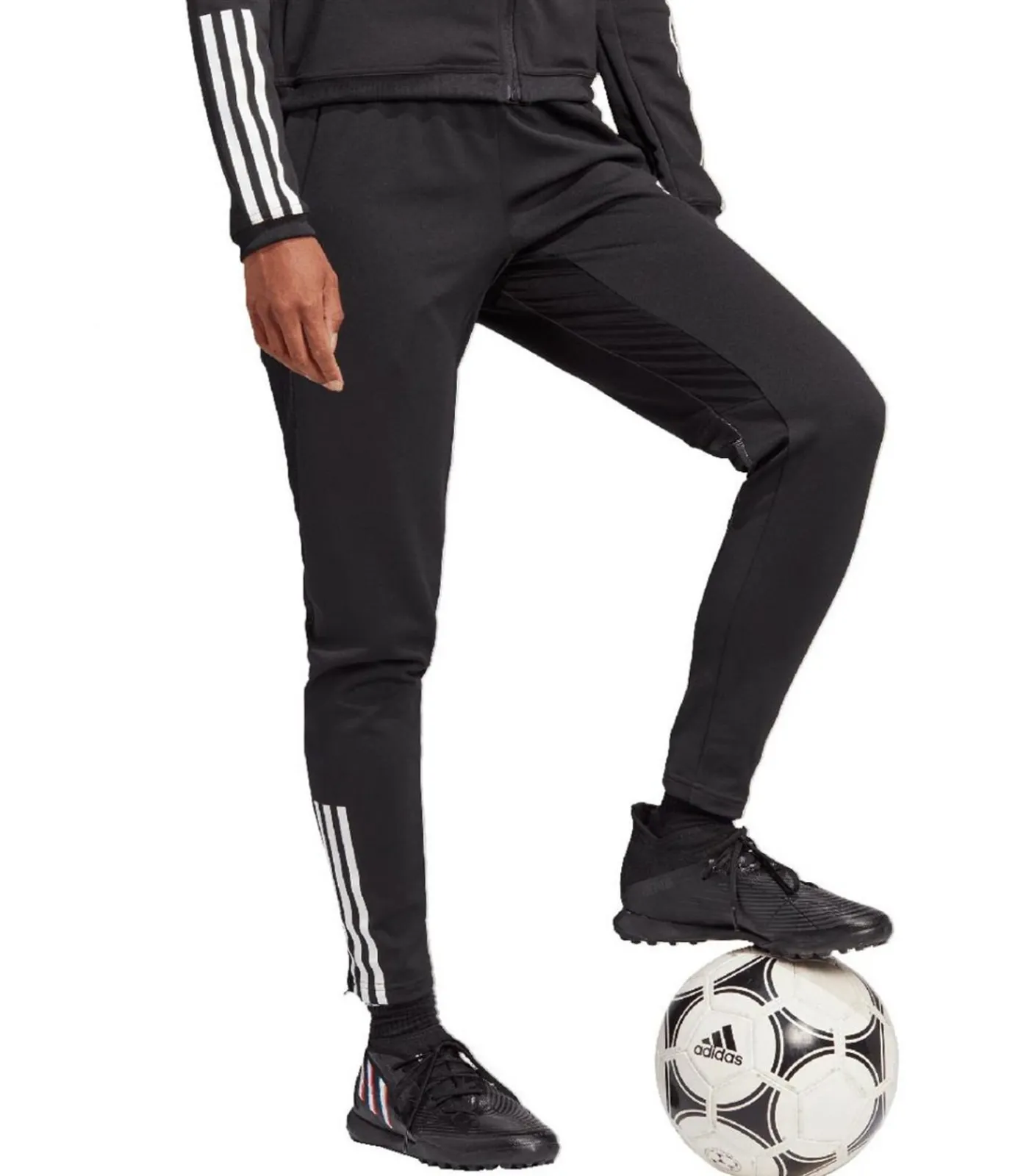 Adidas TIRO 23 COMPETITION TRAINING - Joggingbroek - Zwart black Discount